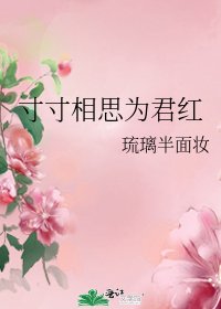 寸寸相思為君紅